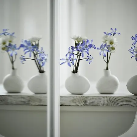 House Of The Snowbird Apartment